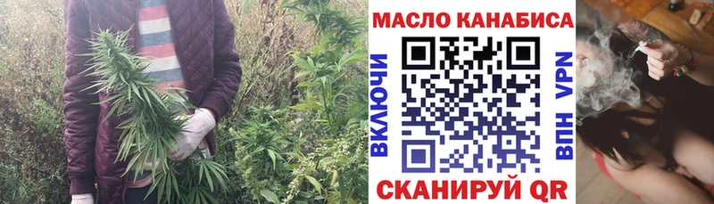 Купить закладки  Строитель  ТГК гашишное масло 